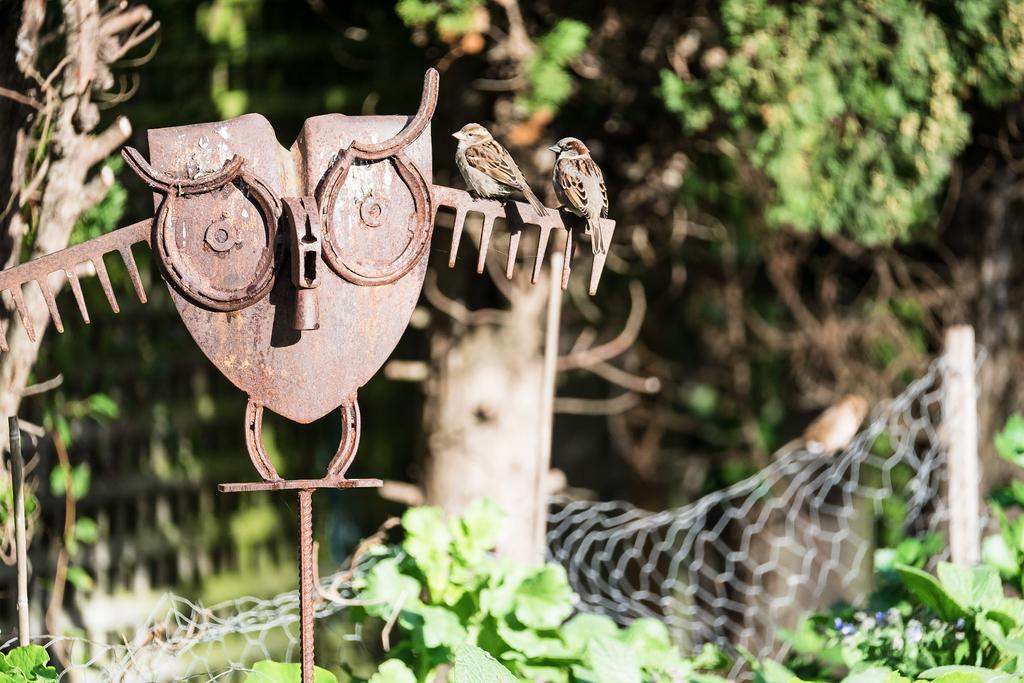 Merrijig Inn ポート・フェアリー エクステリア 写真